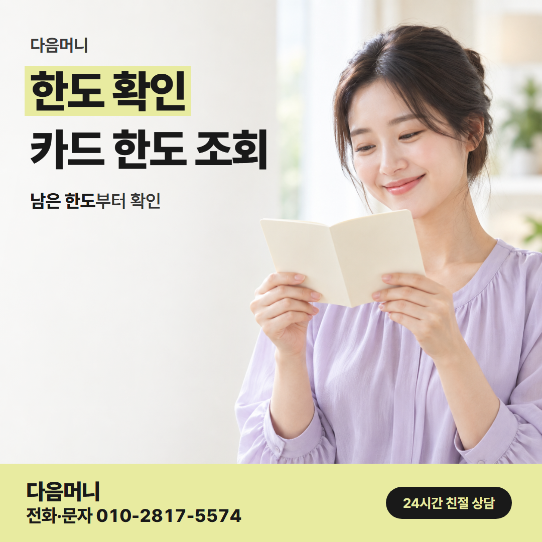 다음머니 통영카드깡 카드마다 따로 조회한 한도